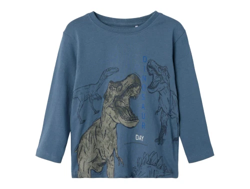 Name It china blue dino top